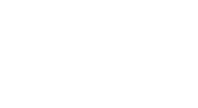 Dragonfly Hollywood | Logo in white